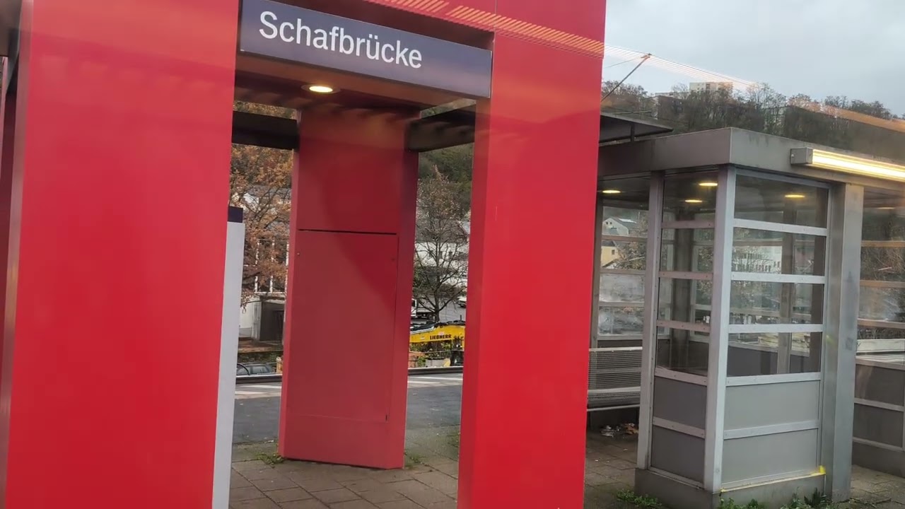 RB 71 nach Homburg Saar Hbf 🚉🚄❤️