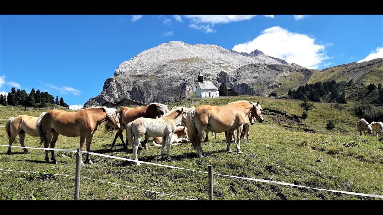 *Girobike* Anello: Monte Pana - rif. Zallingher - Saltria - Alpe di Siusi - M. Pana. 25-8-2022