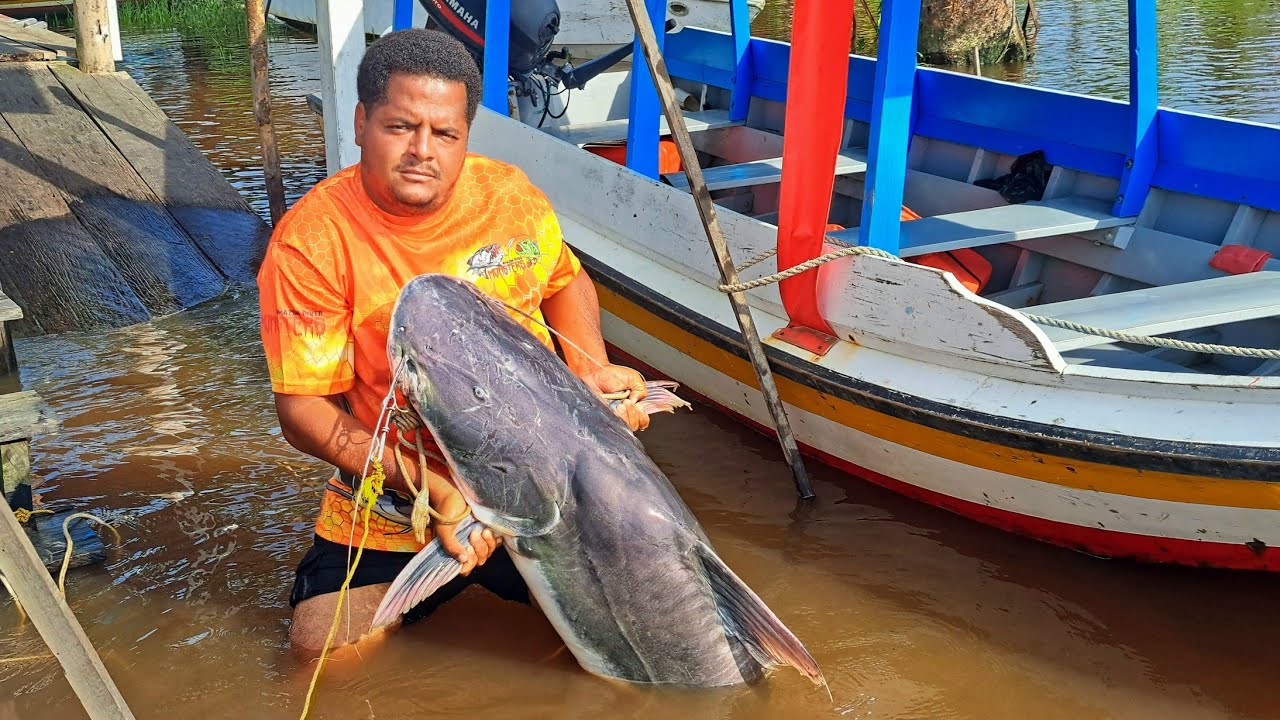 POMEROON RIVER || TRIP to MORUCA and GOLIATH CATFISH.