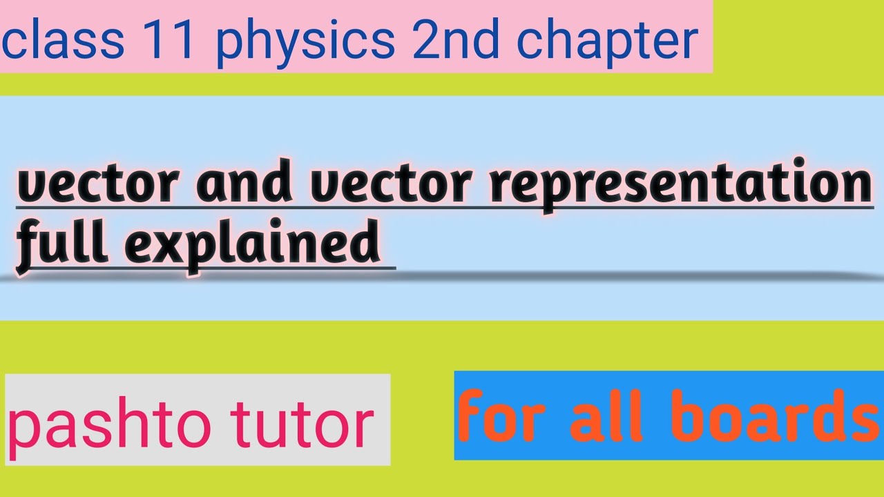 Vector and vector representation graphically as well as symbolically|class 11physics| physics learne