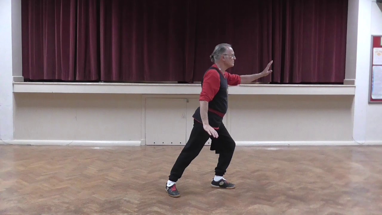 Tai Chi Flying Hand. Li (Lee) Family Style