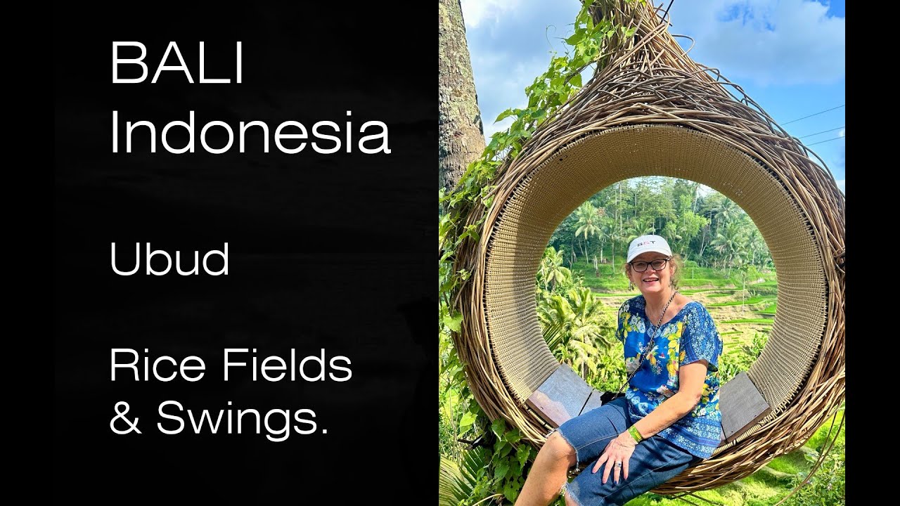 BALI - Ubud - Lunch, Rice Fields & Swings - 2024 - Day 4