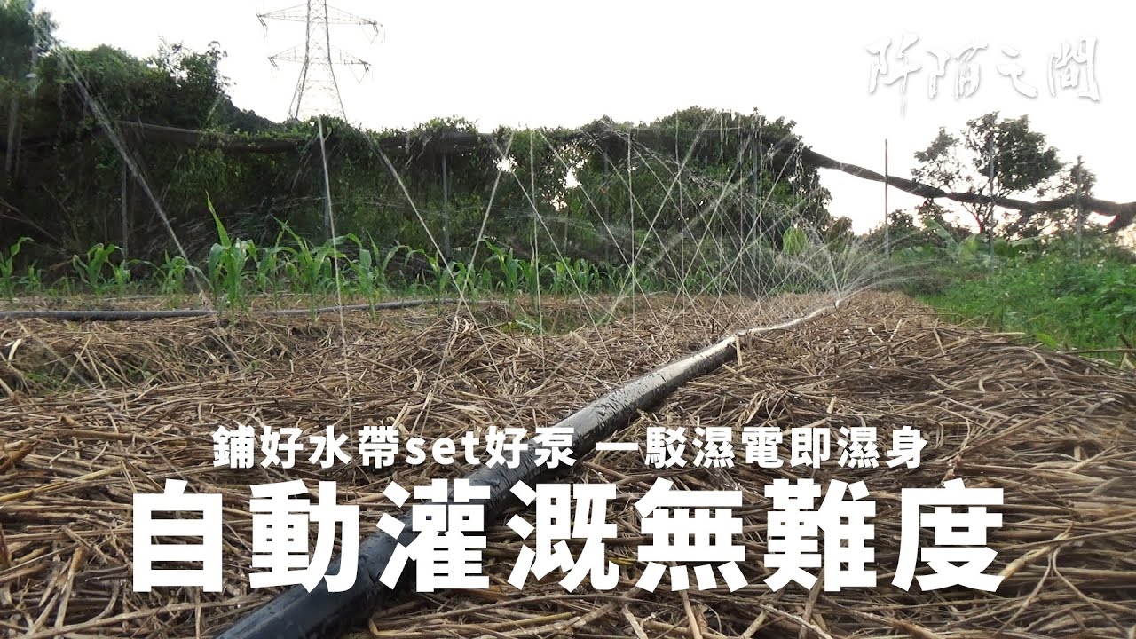 新興農場 自動灌溉系統
