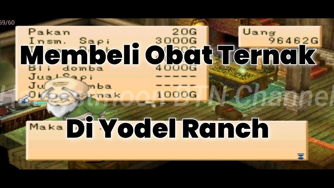 Memberikan Obat Ternak Untuk Domba Yang Sakit - Harvestmoon Back To Nature.