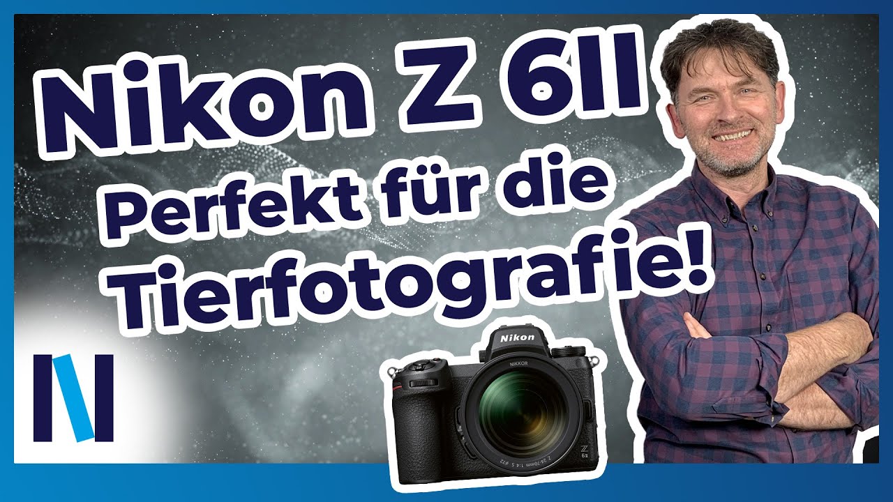 Nikon Z 6II: Mit dem sensationellen Tier-Autofokus gelingen Dir tolle Fotos!