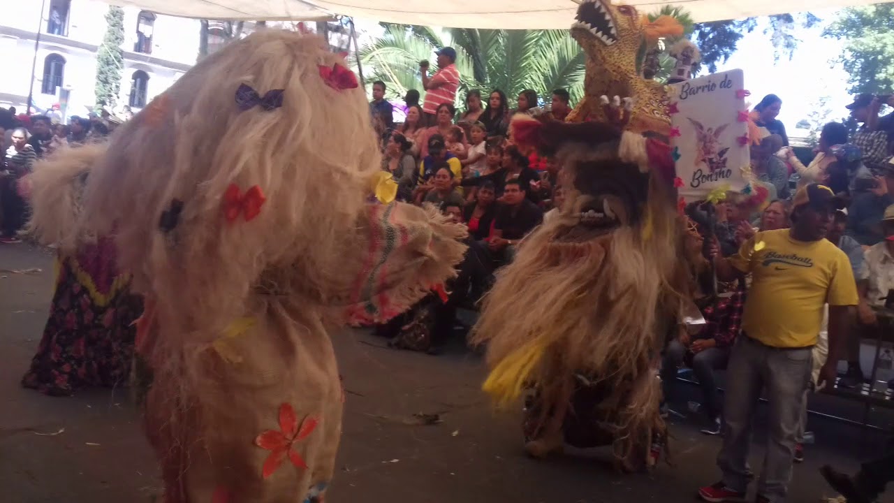 Viejos de corpus 2018
