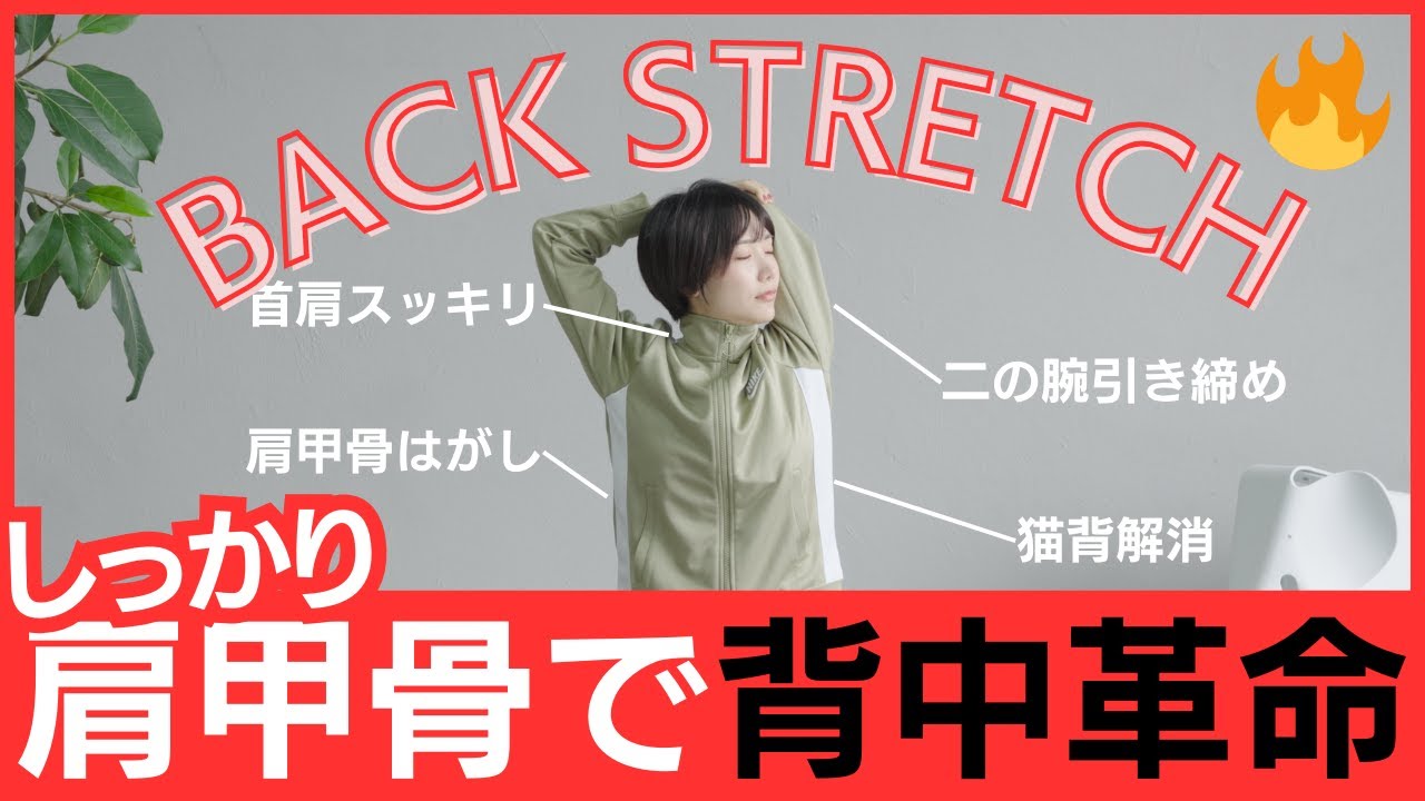 【背中革命】首・肩・肩甲骨・腕、すべてのストレッチをこの1本に。
