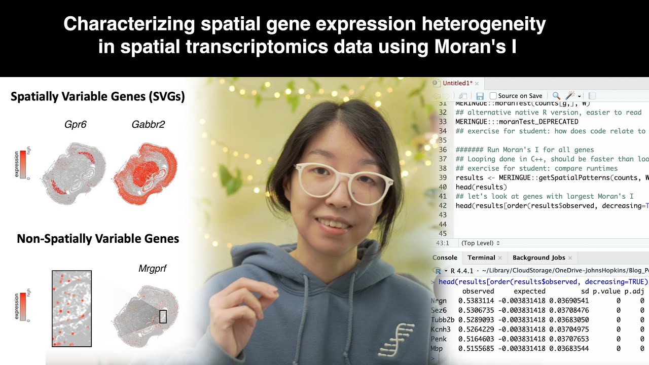 Using Moran's I to identify spatially variable genes in spatial transcriptomics data
