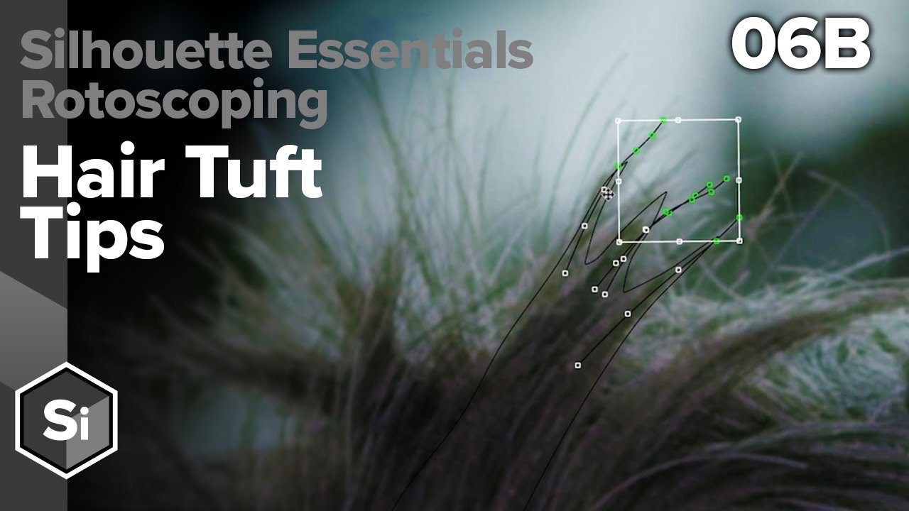 Silhouette Essentials Roto - 06B Hair Tufts [Boris FX rotoscoping]