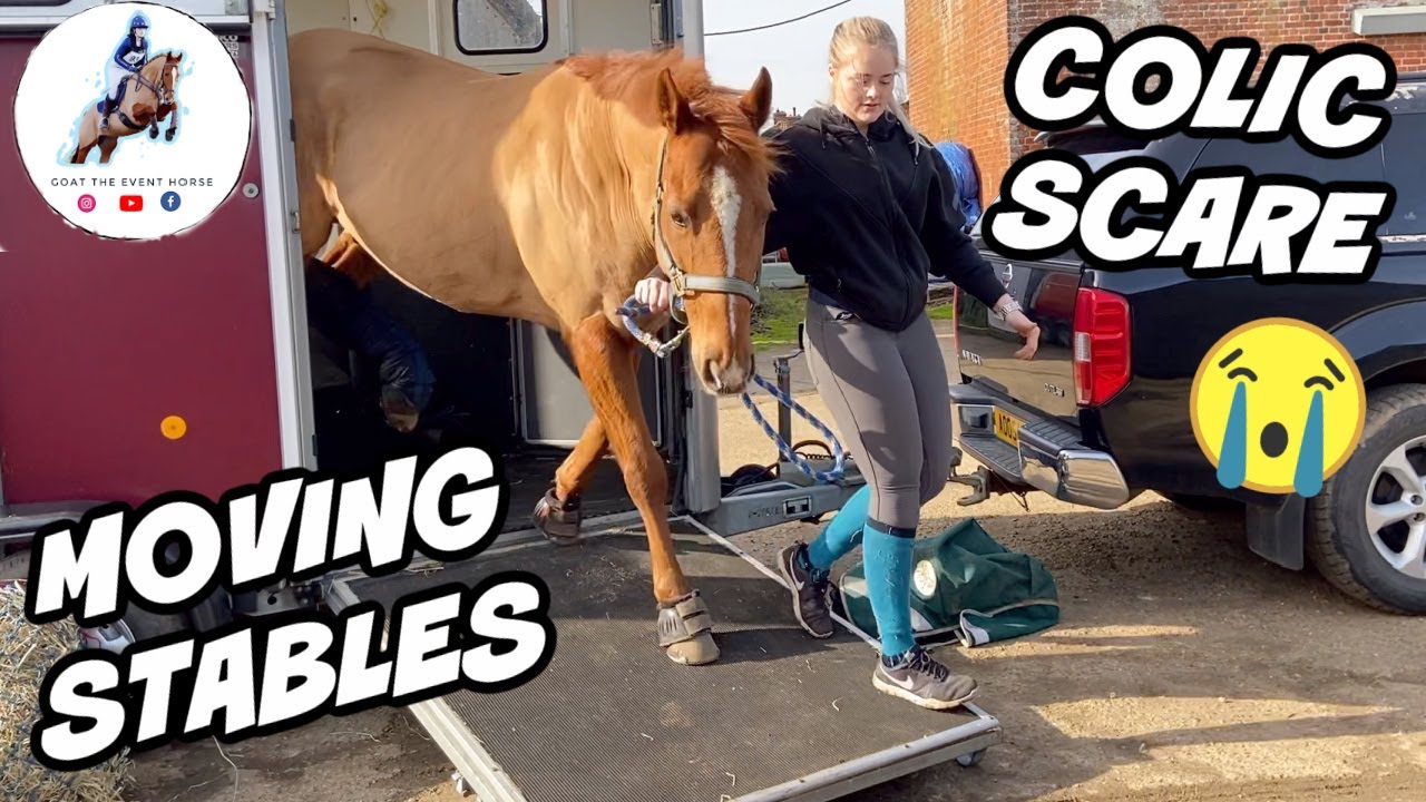 MOVING STABLES + COLIC SCARE | GOAT THE EVENT HORSE