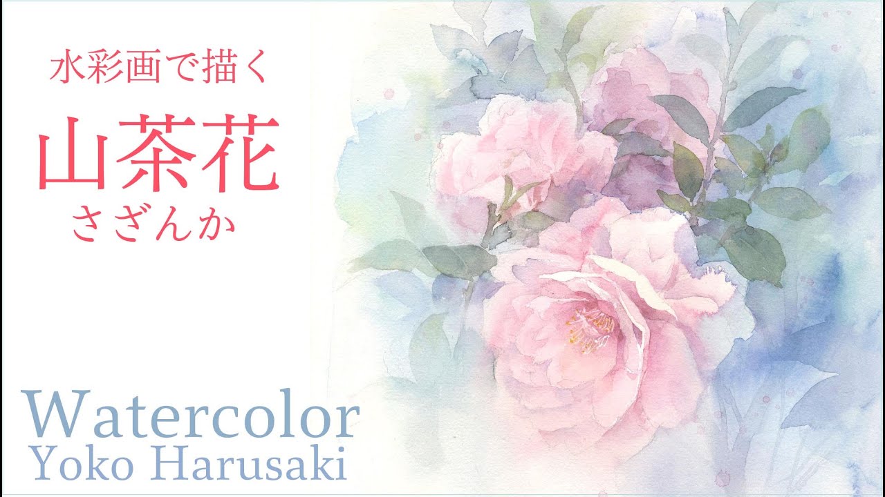 Harusaki  Watercolor　水彩画で描く山茶花　Yoko harusaki