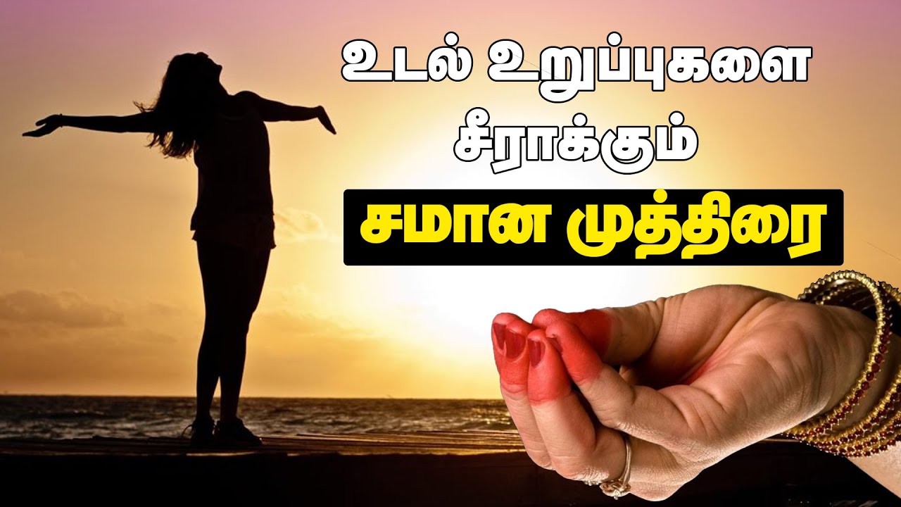 உடல் உறுப்புகளை சீராக்கும் சமான முத்திரை..| 