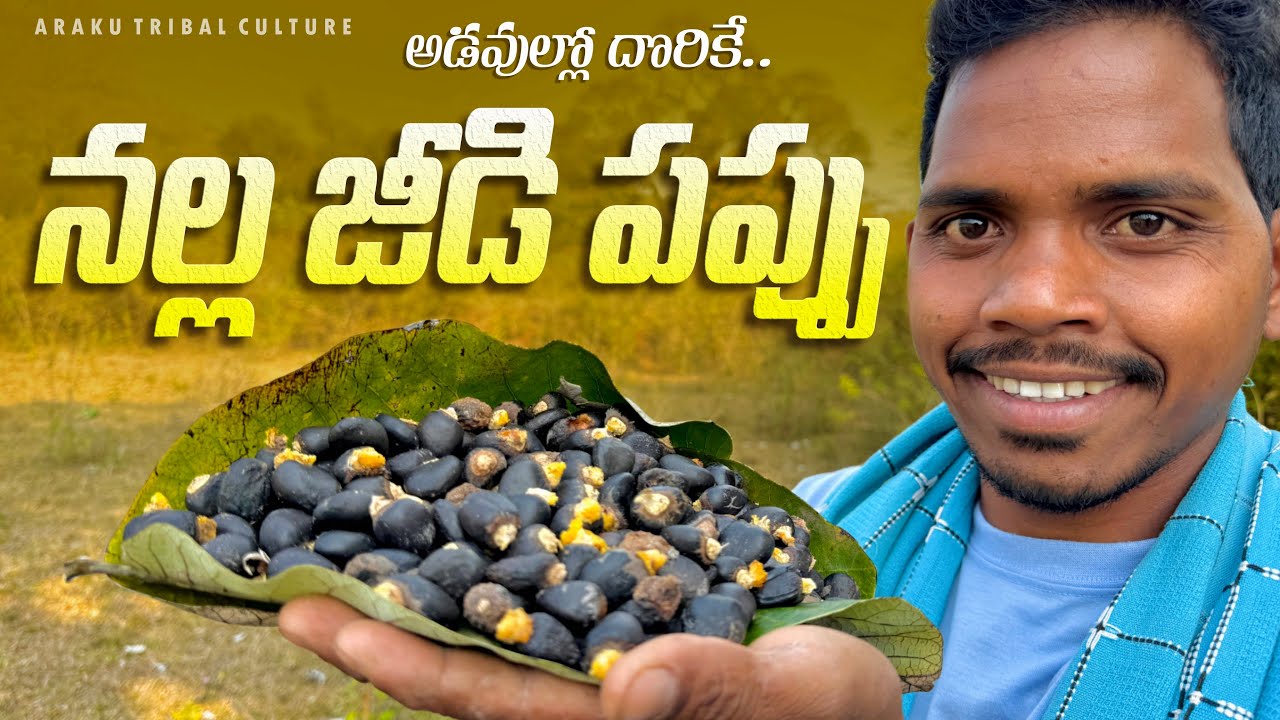 Nalla Jeedi Ginjalu : నల్ల జీడి పప్పు ఎప్పుడైనా చూశారా? || Araku tribal culture