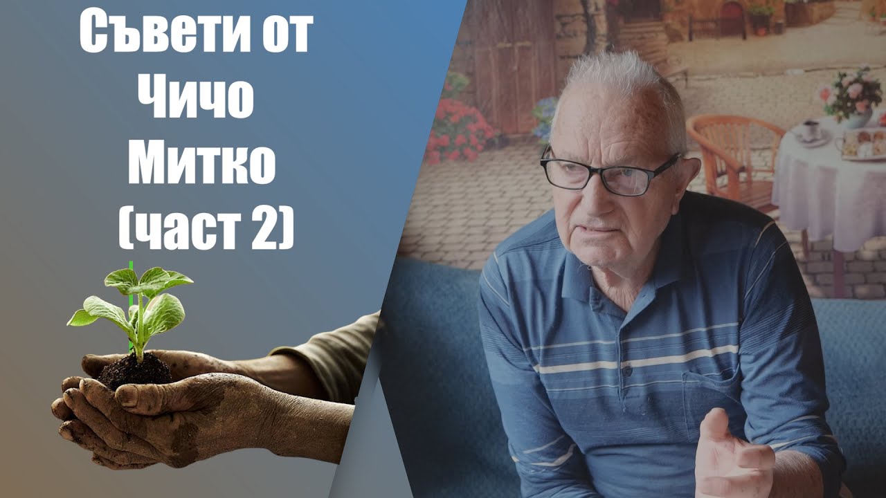 Биодинамично земеделие с Чичо Митко (част 2от2). Мъдрост събирана през годините за чисто отглеждане.