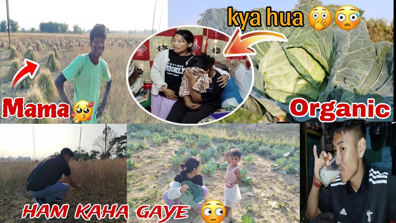 HAMLOG KAHA GAYE THE 😳💝