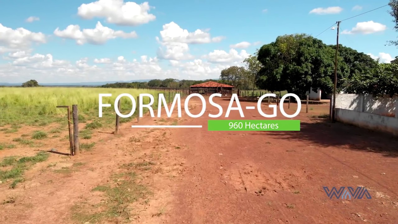 Fazenda a venda com 960 Hectares em Formosa-GO (61) 98197-5762.