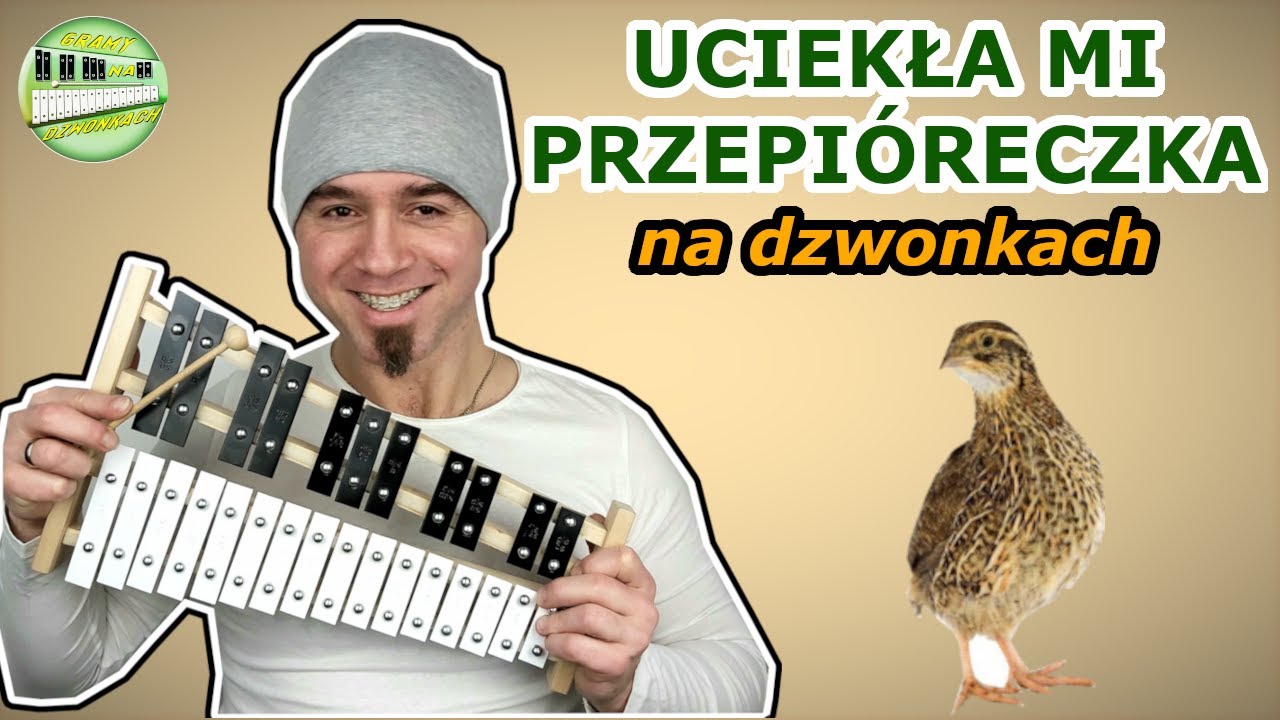 UCIEKŁA MI PRZEPIÓRECZKA 🎶 - Dzwonki chromatyczne (cymbałki) Instrumental cover & tutorial Nuty