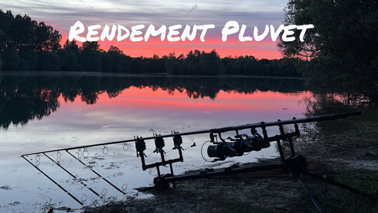 {CARPE} Session Rendement à Pluvet Pêche Carpe Full Hd 1080P