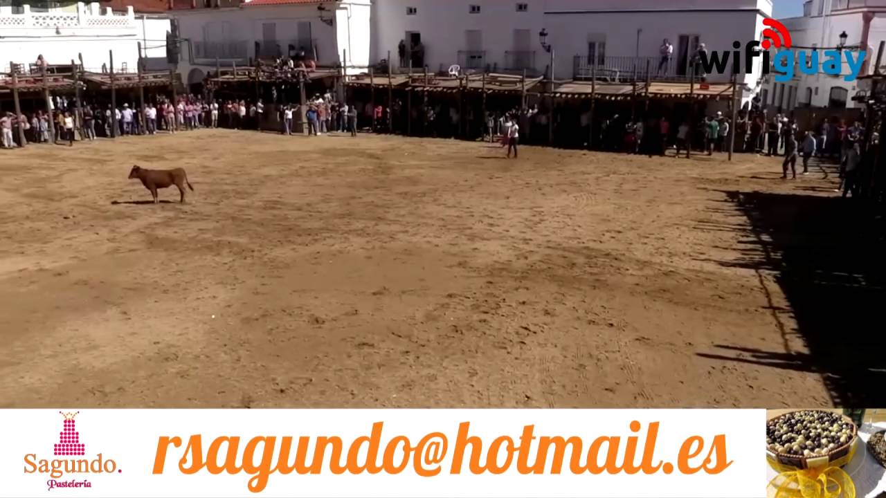 Capeas Segura de León 2016 | Capea de MUJERES Segura de León (Completa)