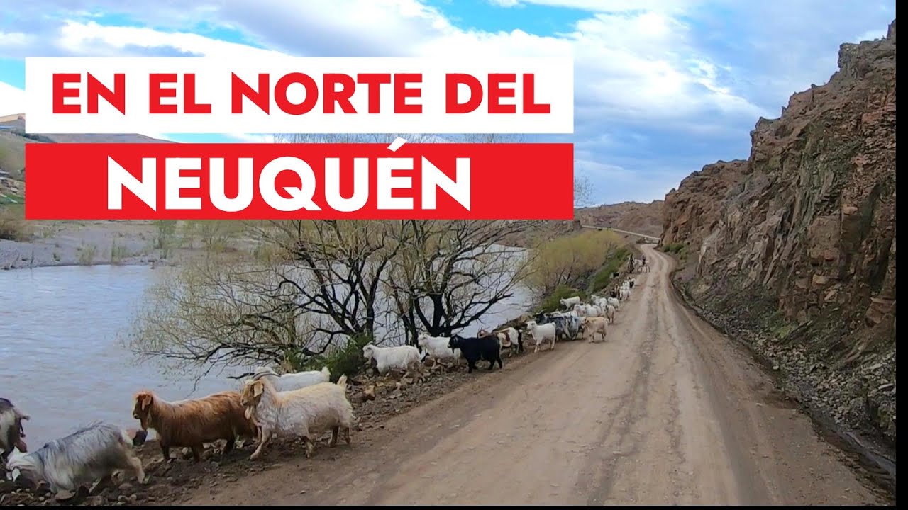 🏔️ Descubriendo Los Miches: Naturaleza, tradición y sabores del norte neuquino 🌿✨