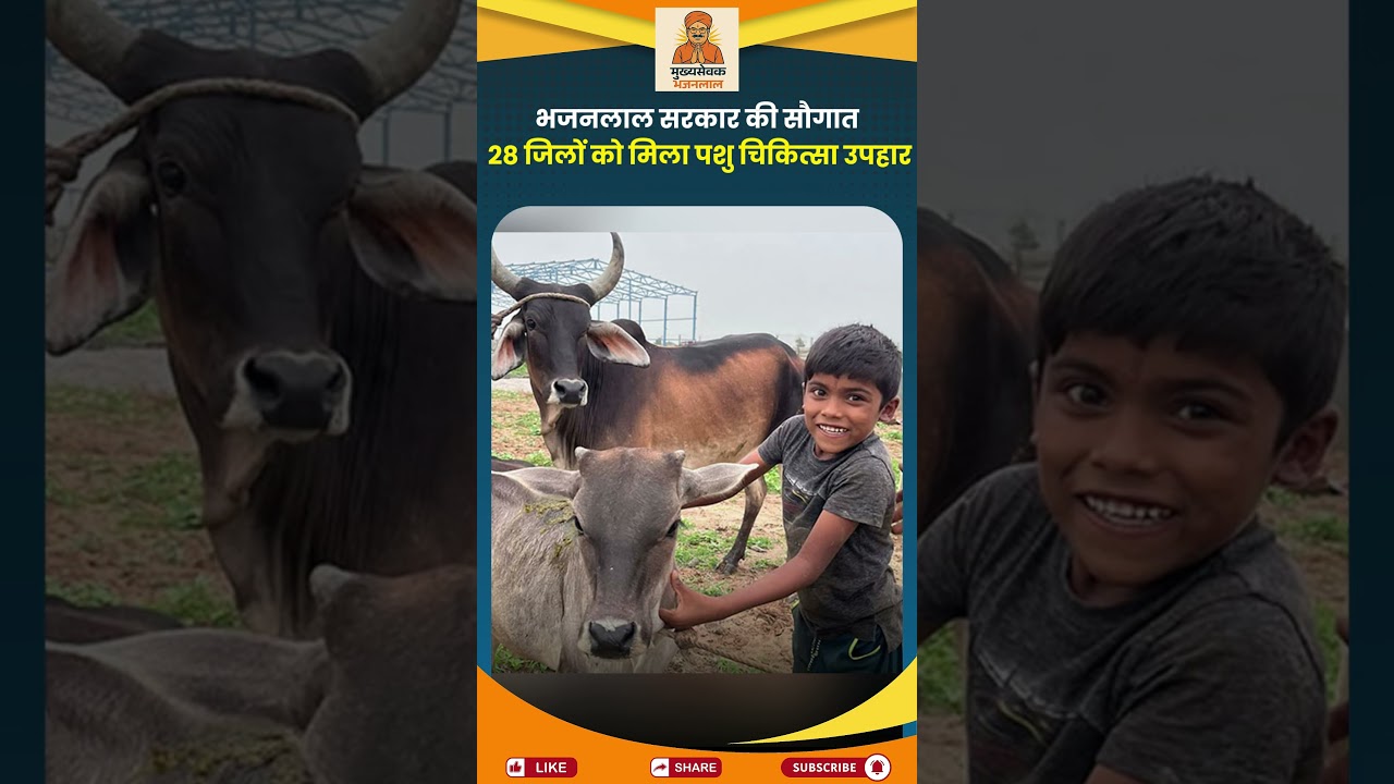 28 जिलों में पशु चिकित्सा उपकेंद्र–Veterinary Jobs + Rural Growth | Rajasthan News