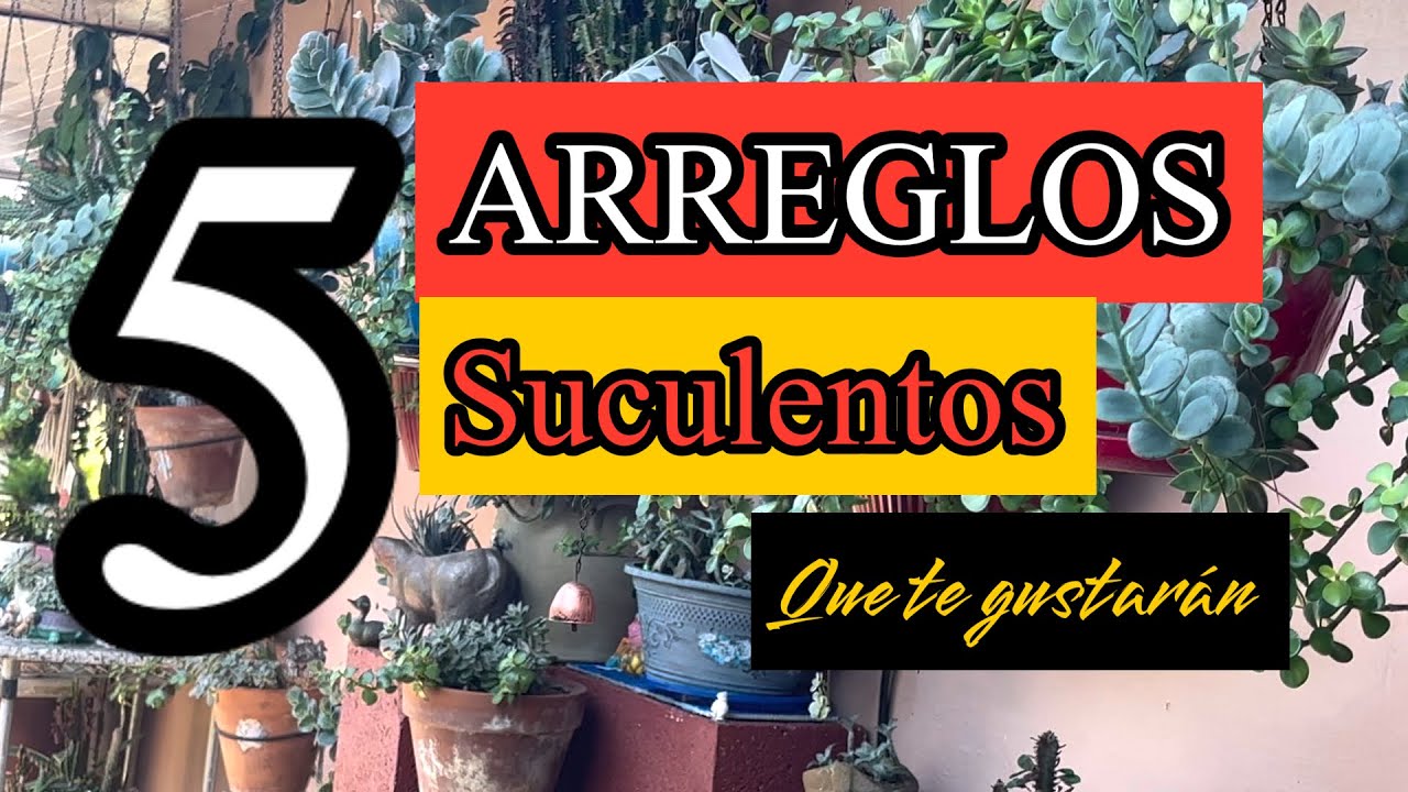 5 ARREGLOS SUCULENTOS, el último es el más bonito. .saludos a subscriptores y canales. 