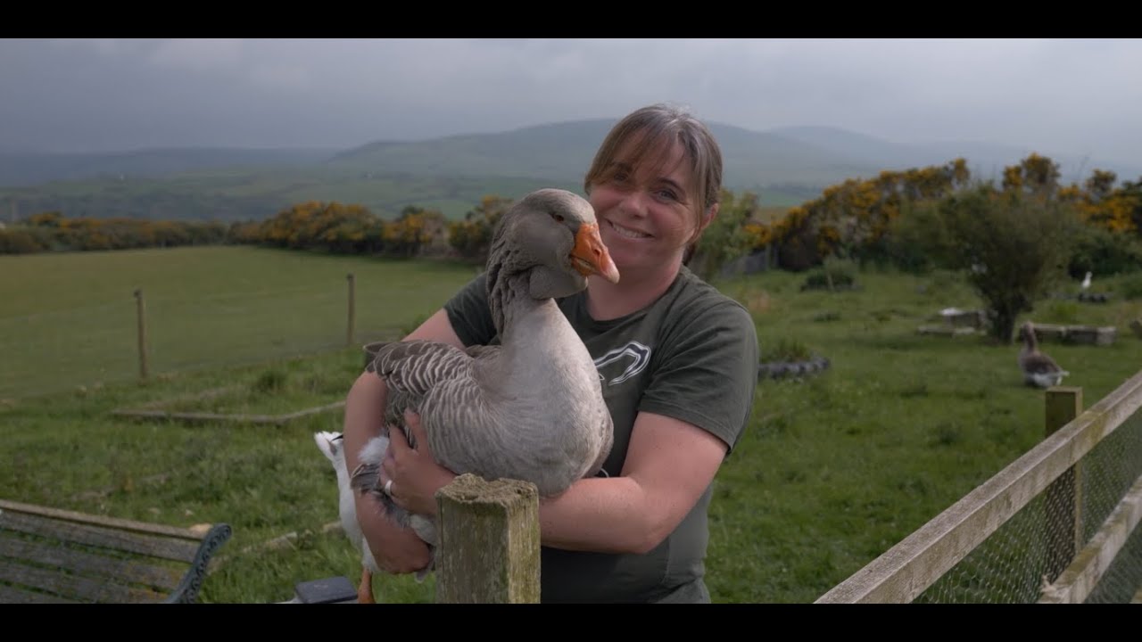 Building a sense of place through Manx: Red Mie