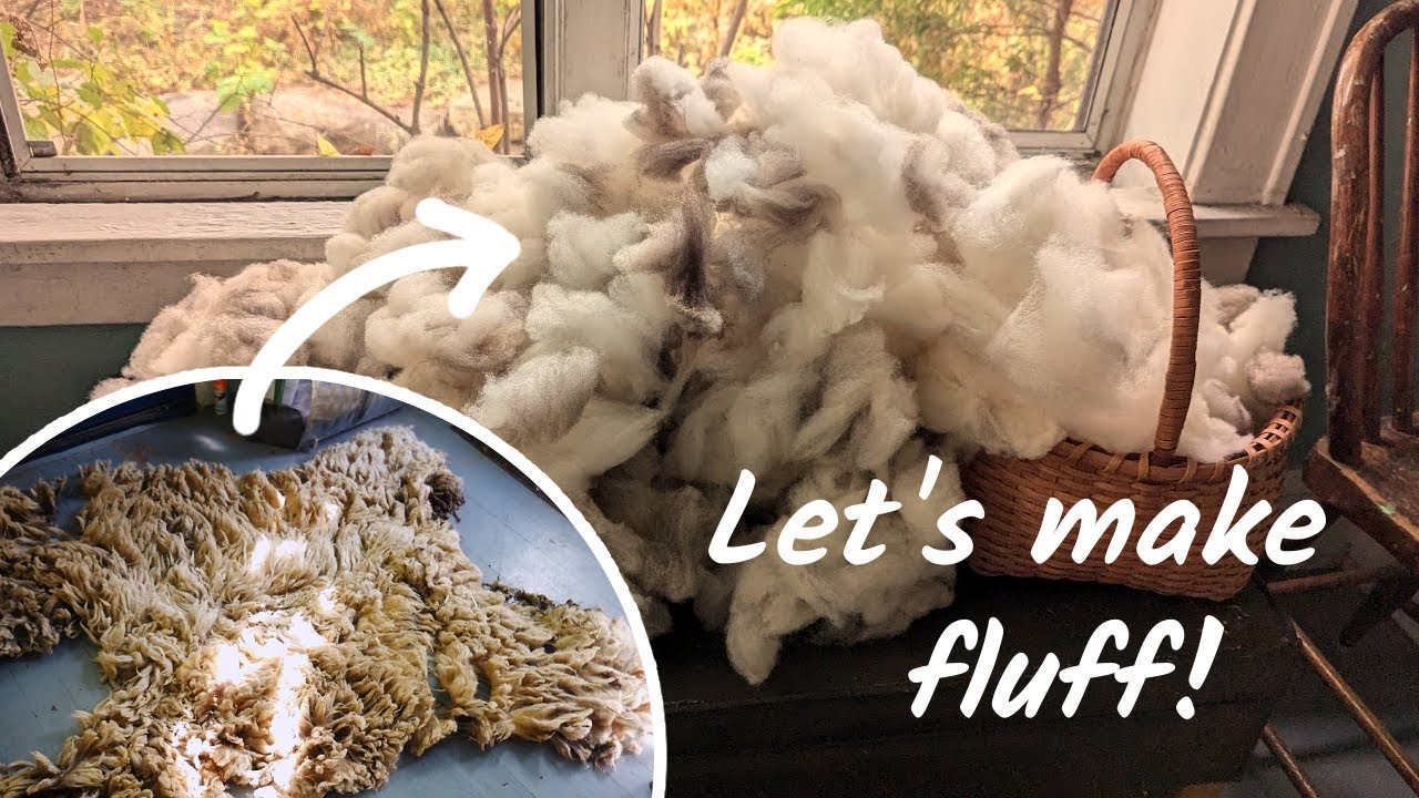 Processing a Raw Sheep Fleece