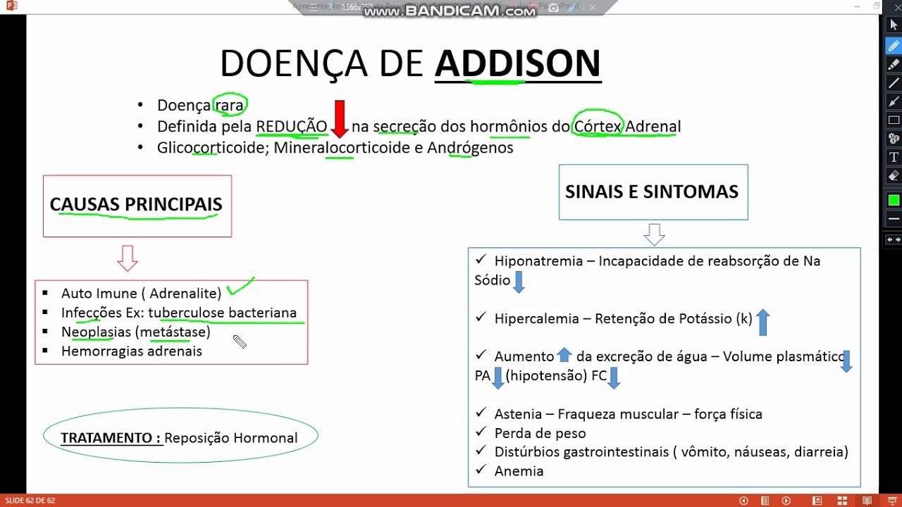 ENFermagem | fisiologia - Distúrbios Adrenais - Doença de Addison