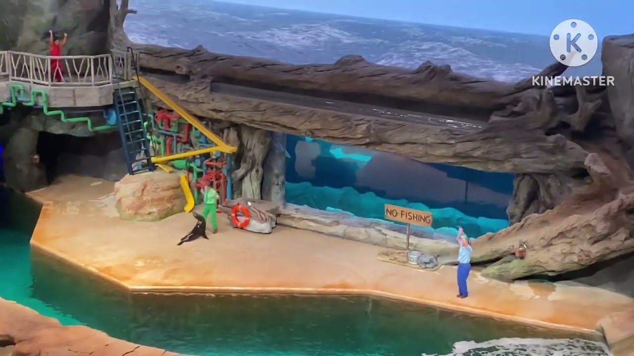 SEAL SHOW AT SEA WORLD YAS ISLAND ABI DHABI