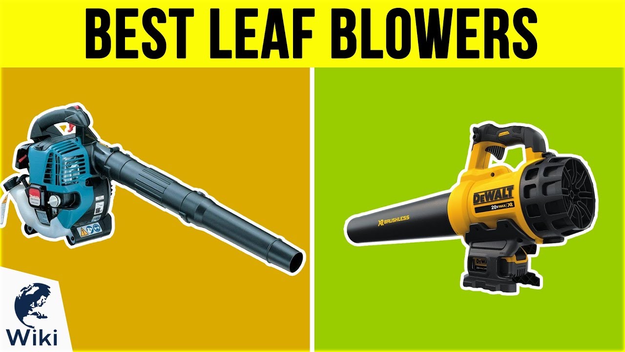 10 Best Leaf Blowers 2019