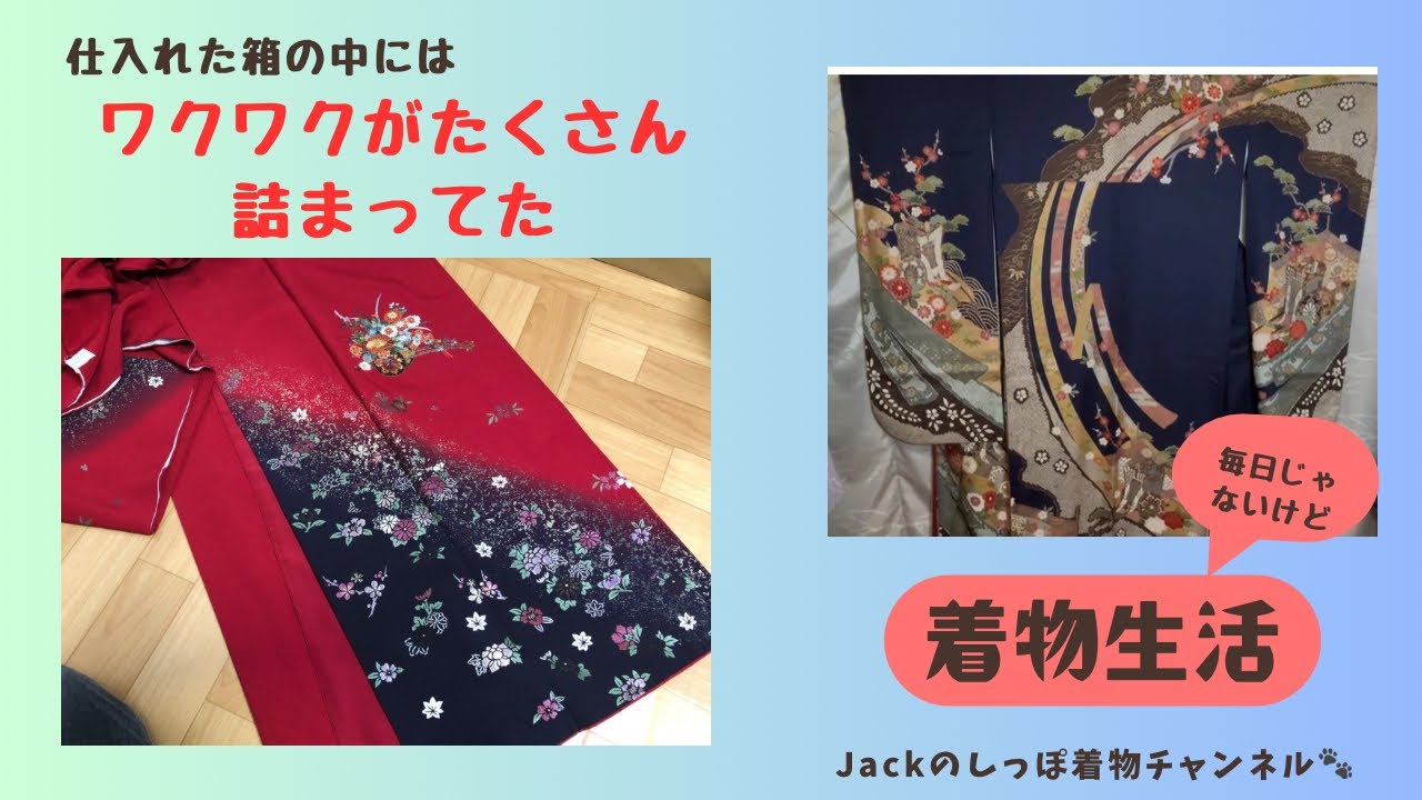 #99  箱の中身はわくわくが詰まった振袖〜😍一度は着てみたい🤩Jackのしっぽ着物チャンネル🐾