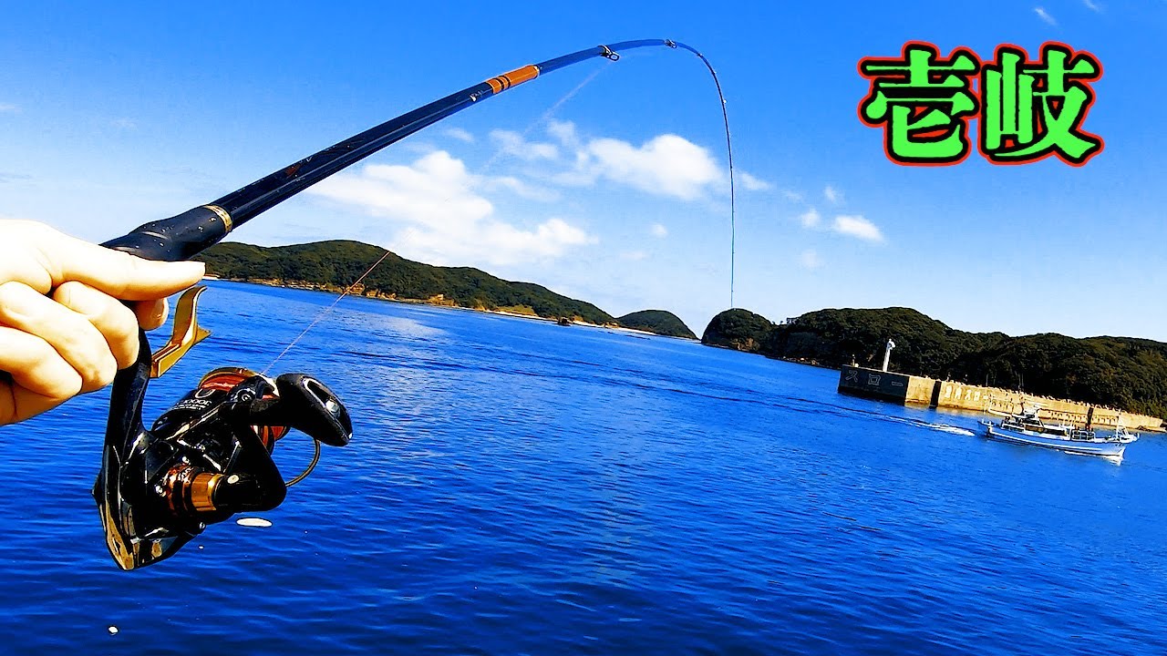 【壱岐】港の防波堤からアジの泳がせ釣りとぶっこみ釣り。フカセ釣りも