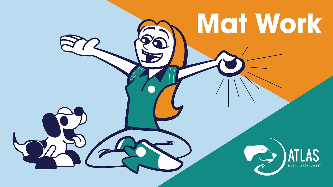 Mat Work Training: How to Teach Your Dog!
