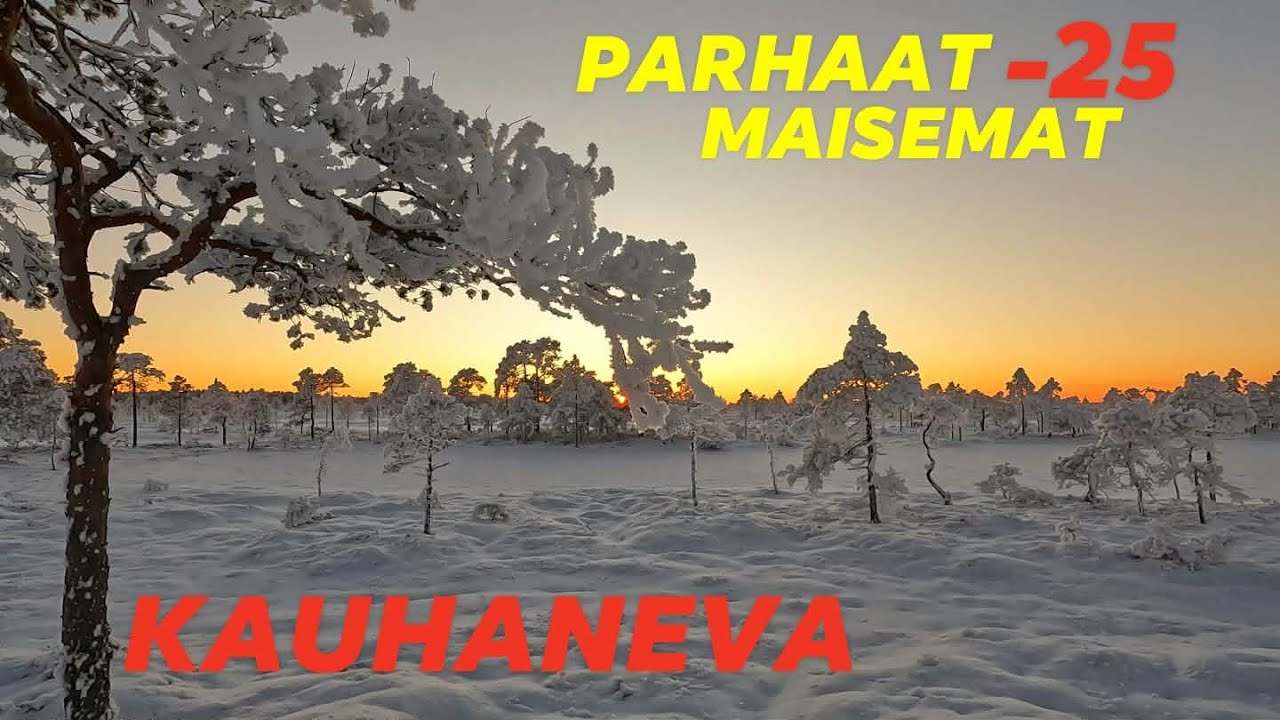 Kauhanevan-Pohjankankaan Kansallispuisto miinus 25 pakkasta, upeimmat pakkasmaisemat @KorpiTiimi