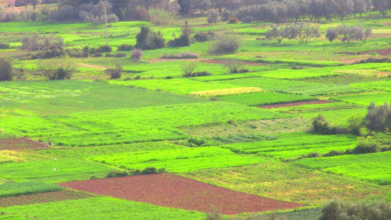 التاريخ والطبيعة 🏞️دوار أنوال تمسمان Dchar Anwal Tamsman