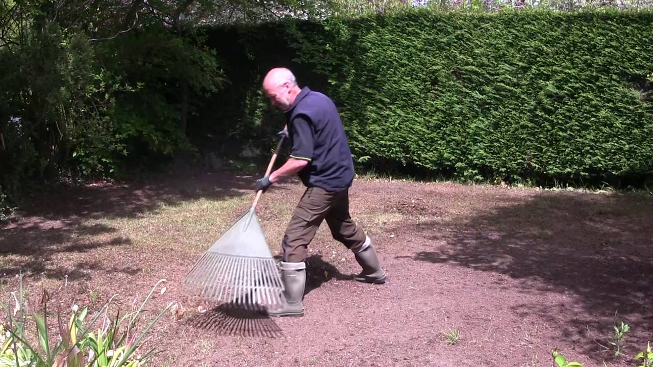 Lawn Repair & Lawn Renovation: What's Involved in the Treatment? | Greensleeves Lawn Care