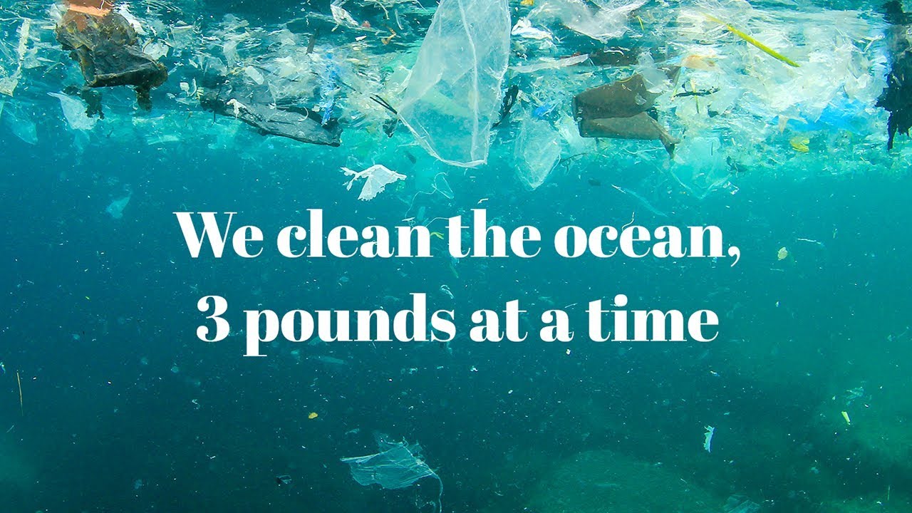 Clean Wave - We Clean the Ocean