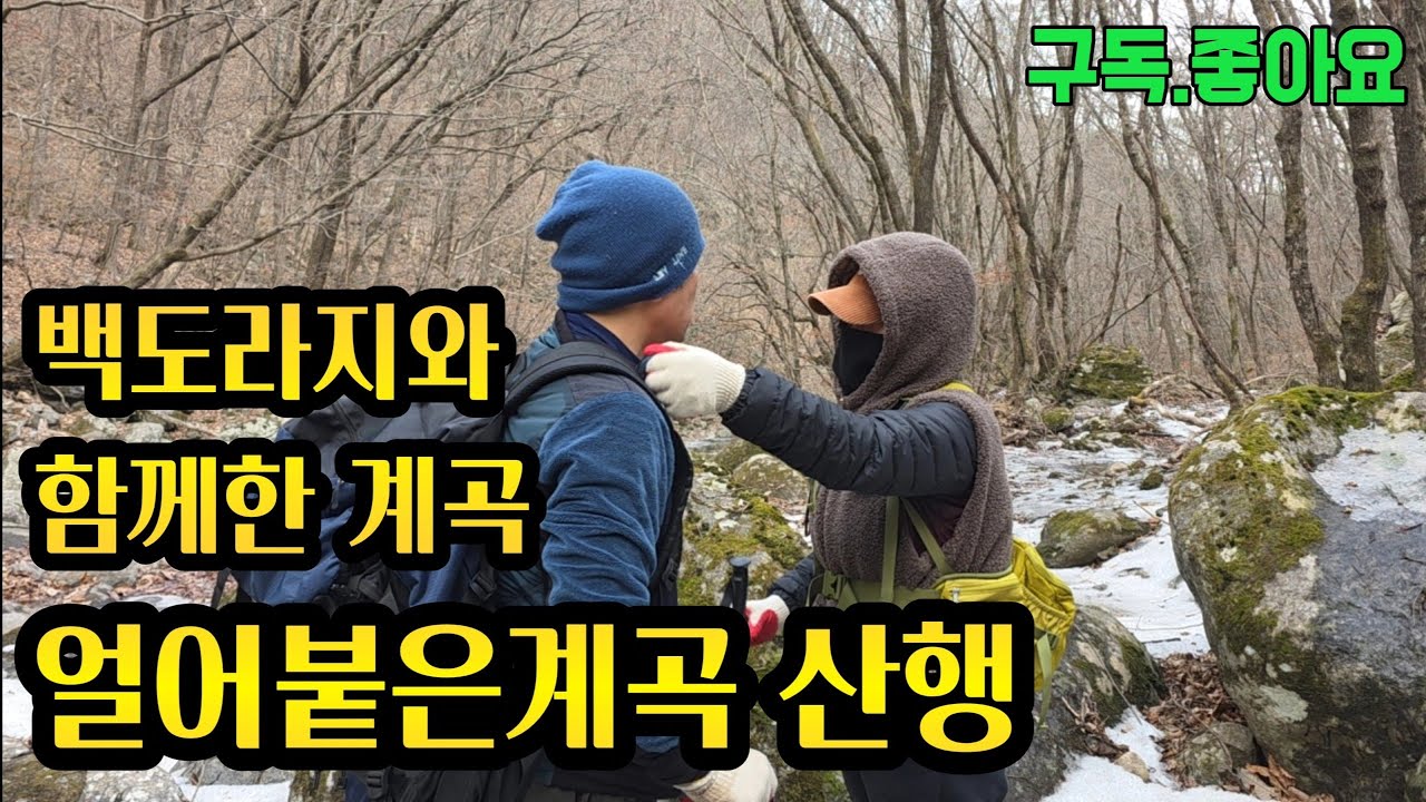 백도라지와 함께한 겨울 산행!!계곡을 건너 말굽버섯까지