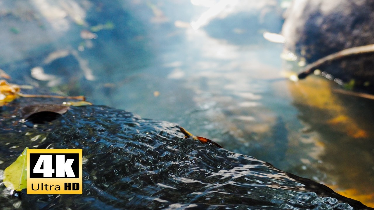1 HOUR 4K Forest Stream ASMR - Pure Water Sounds - No Music for Deep Sleep, Focus & Relaxation