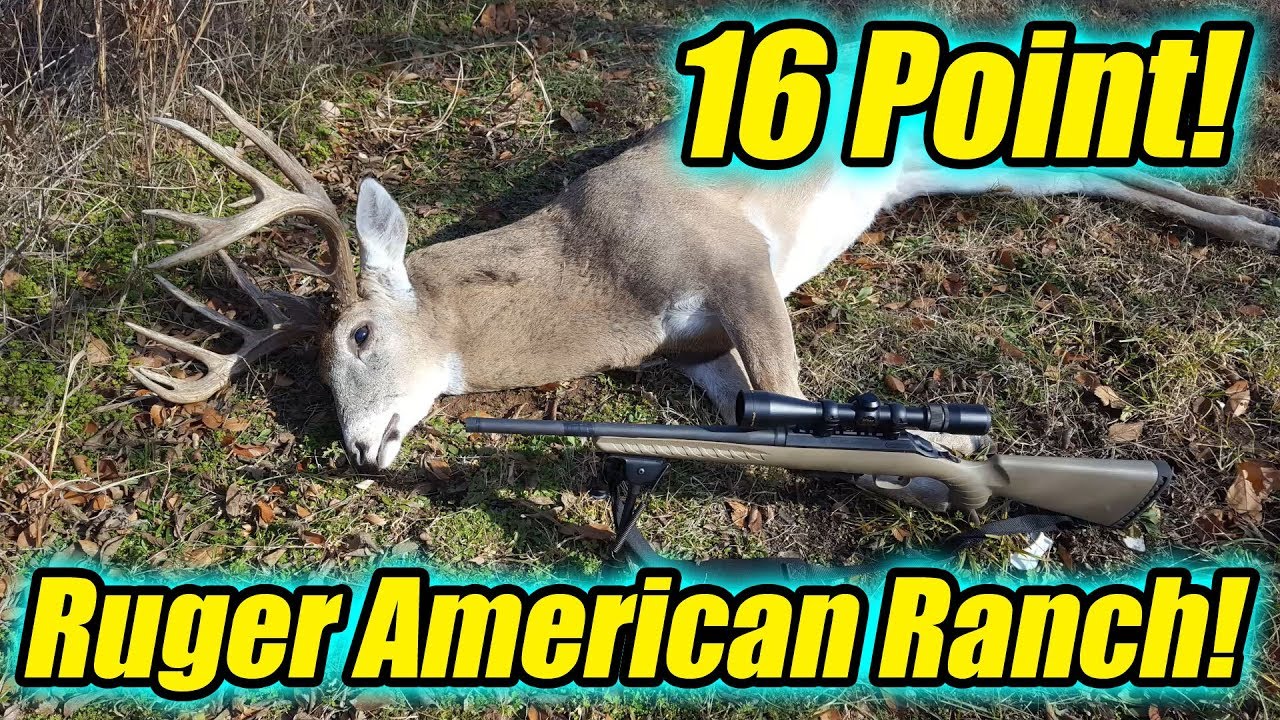 Охота на оленей с Ruger American Ranch 7.62x39!