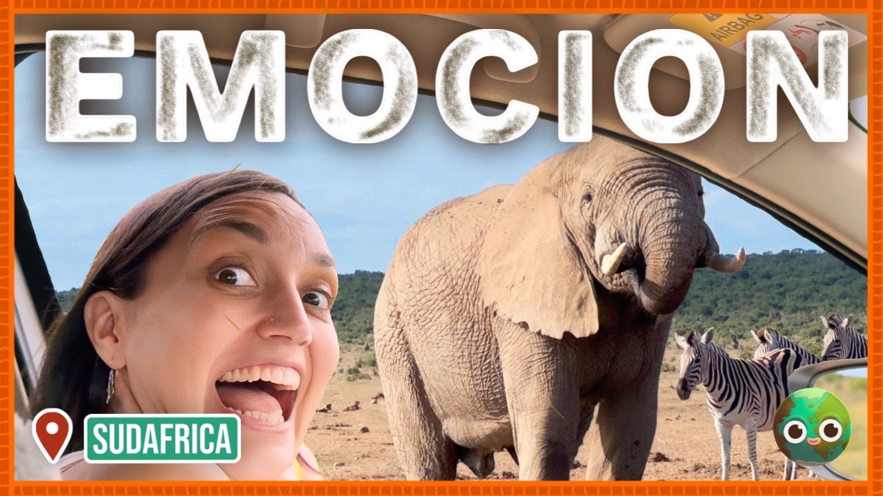 ROZANDO ELEFANTES SALVAJES 🐘 en un Safari ADDO National Park | Overlanding África [Cap.4]