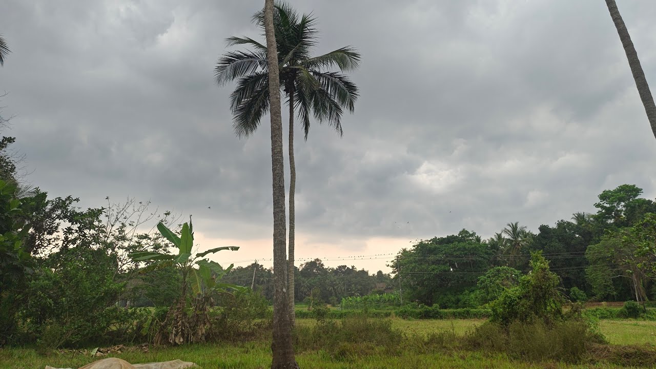 JITHIN ASHA Kanangot is live!