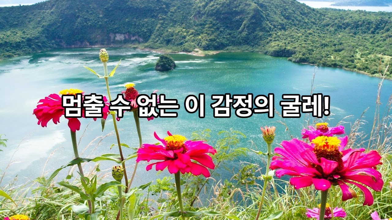 마음은 놓아주면 다시 온다...