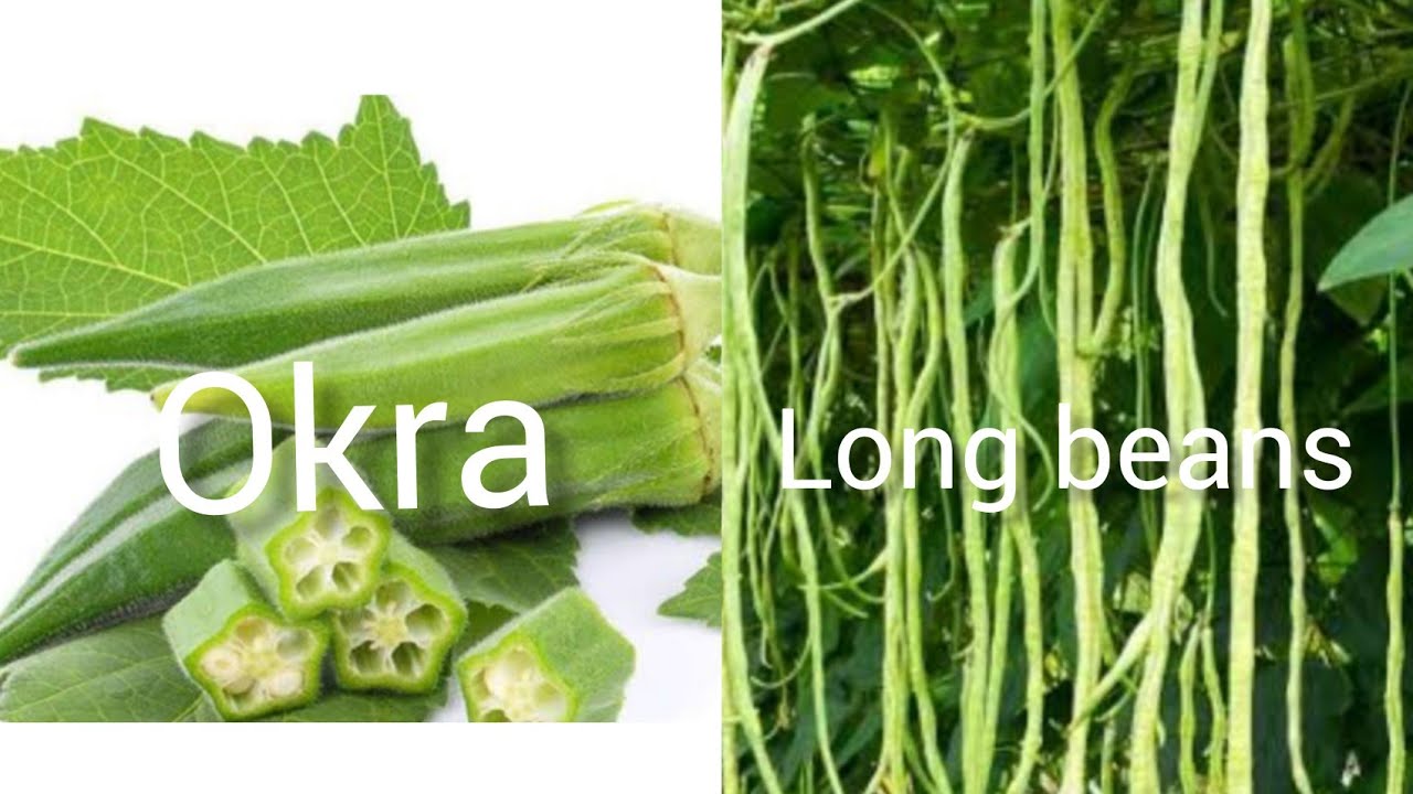 bean and okra recipe//local traditional style//Tripura tribal food/North East India Tripura Agartala