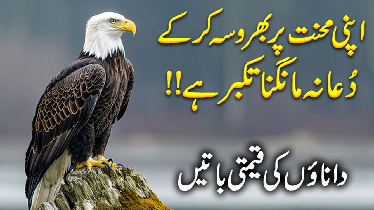 Quotes About Hard work | Struggle Quotes In Urdu | Life Changing Quotes | Zubair Maqsood Voice