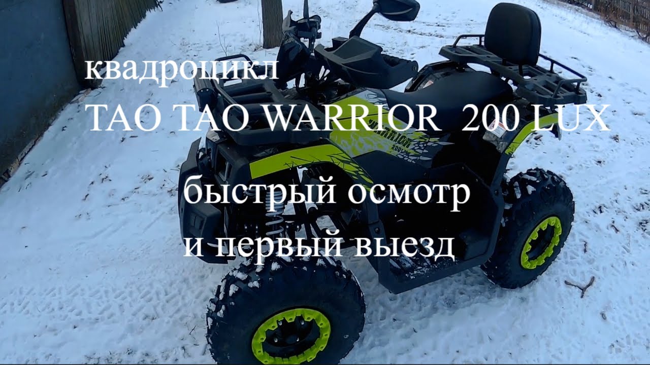 Квадроцикл TaoTao Warrior 200 LUX быстрый осмотр и первый выезд#quad bike# китайские квадроциклы