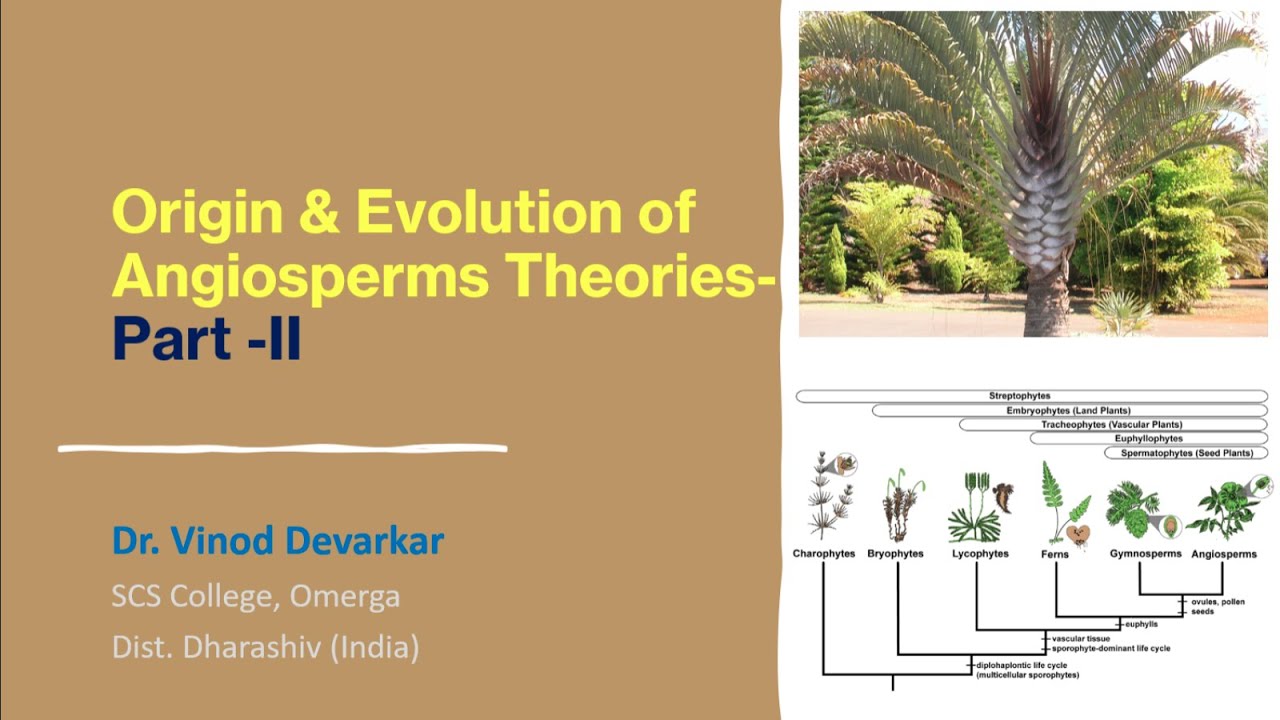 Origin & Evolution of Angiosperms Theories-II by Dr. V. D. Devarkar