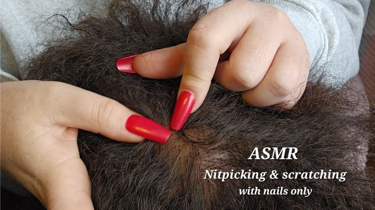 ASMR nitpicking and scalp scratching with long nails ✨️ close up (no talking)