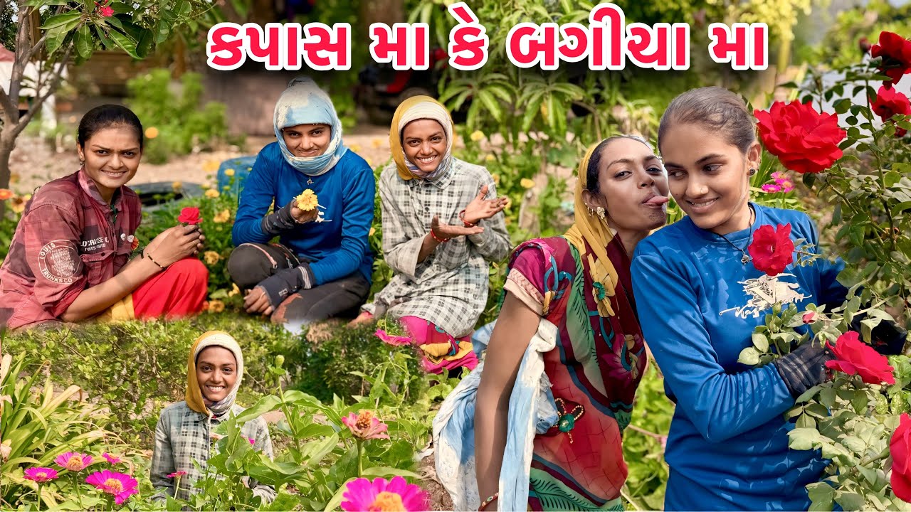 કપાસ મા બગીચો ☺️ | Kapas Ma Garden | Small Garden 🪴 In Village 